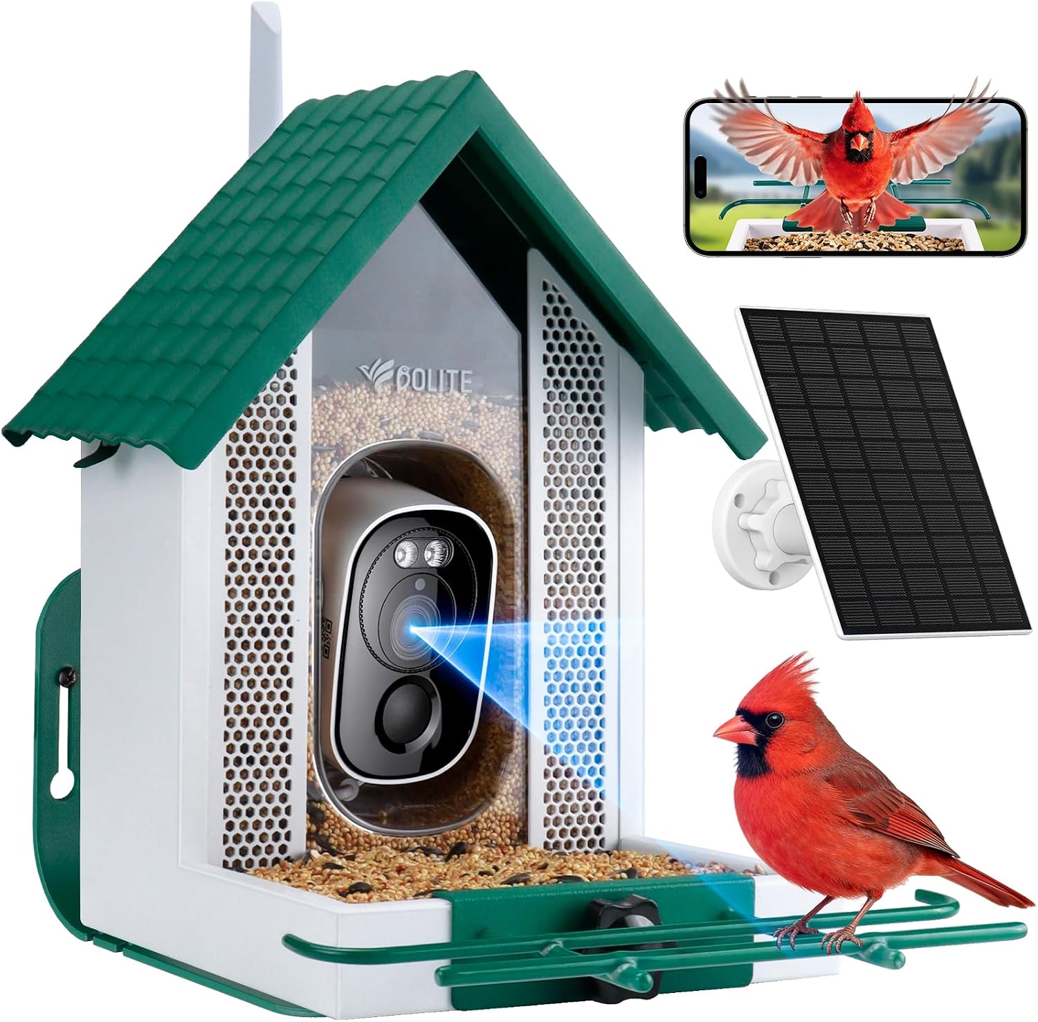 Bolite smart bird feeder with a green roof, built-in 2.5K camera, separate solar panel and a phone showing the live view